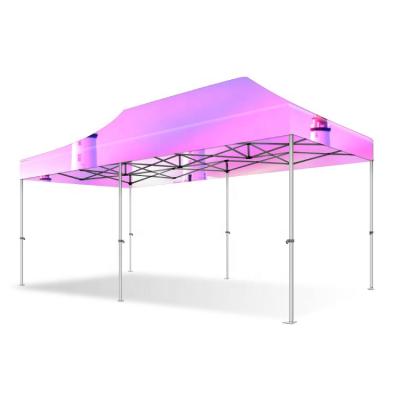 China Advertising Show Durable Trade Show Tent 50mm Large 10x20ft Hexagonal Aluminum Frame With Custom Printing for sale