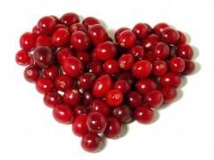 China cranberry extract， Vaccinium Macrocarpon L powder 25% anthocyanidin free sample for sale