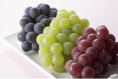 China Good Quality Polyphenols Extracted from Vitis Vinifera Seed (Vitis vinifera L) for sale