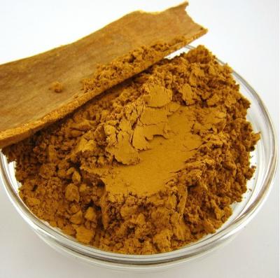 China Ceylon Cinnamon Plant extract/cinnamon bark water extract/cinnamon cassia bark extract for sale