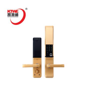 China China Factory Modern Double Sided Biometric Fingerprint Door Lock for sale