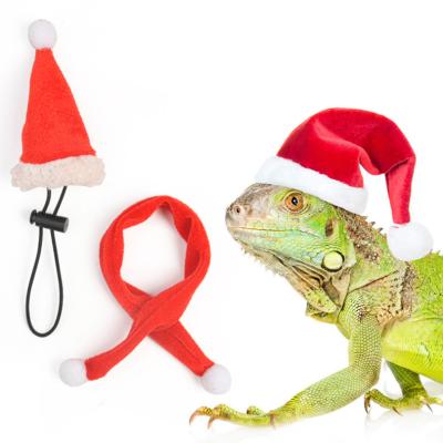 China Sustainable Pet Christmas Hat Bib Set Lizard Christmas Dress Small Pet Ornament Scarf Hat for sale