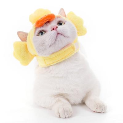 China Viable Wholesale Dog Hat Pet Accessories Pet Bucket Hatpet Hat Designer for sale