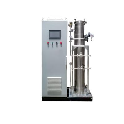 China Direct Treatment Equipment Drinking Water Generator Ozone Water Disinfection Factory Supply Fast Shipping for sale