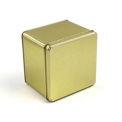 China Rectangular Empty Hinged Cookie Metal Tins Box Mint Containers Small Cookie Storage Tin Box for sale