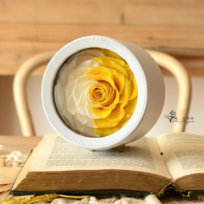 China Fashional New Design 2020 Natural Preserved Preserved Roses Flower In Gift Box Rose Round Flower Box For Eternal Christmas Gift for sale