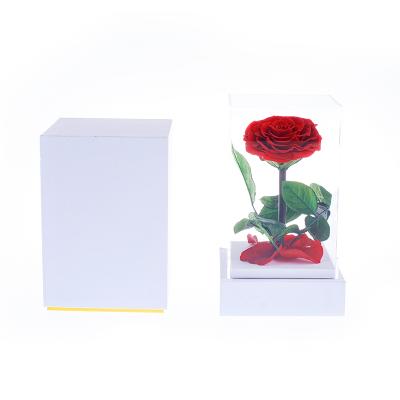 China Durable EVERY LOVE soveniers gift for birthday wholesale price single love rose flower preserved eternal roses with acrylic box for sale