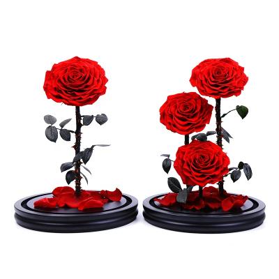 China 2020 Forever Lasting Perfect Infinity Christmas Gifts Last 3 Years Preserved 5-6 Cm Rose In Glass Dome for sale