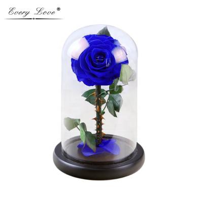 China Valentines Wedding Gift Box Every Love Factory Wholesale Price The Little Prince Rose Glass Dome Red Rose Preserved With Gift Box for sale