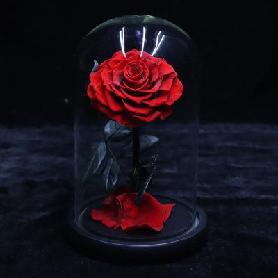 China Real Touch Nature Source Factory Direct Supply Preserved Roses In Glass Dome For Christmas Gifts for sale