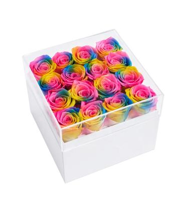 China Any Occasion Gift Konservierte Rose Year Long Rainbow Color Roses Gift Canned Eternal Flowers Real Natural for sale