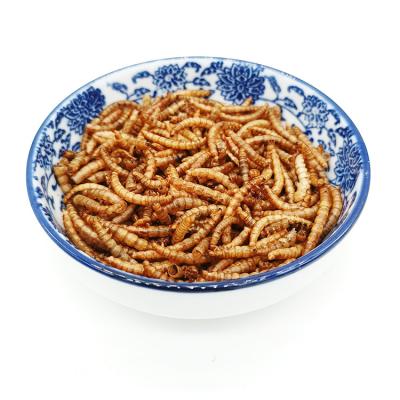 China Viable Dried Mealworms For Fish Birds Pet Food Dried Mealworms for sale