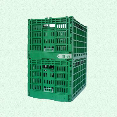 China Caja de malla de plástico plegable verde o personalizada para la distribución de verduras y frutas en venta