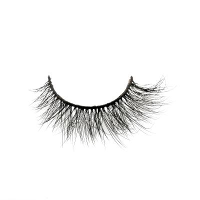 China Worldbeauty Thick 2022 New 3D 5D 8D Real Mink Hair Lashes for sale