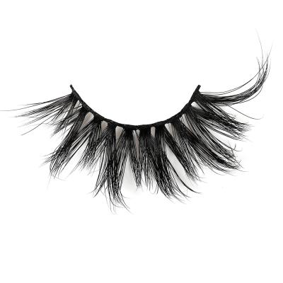 China Best Luxury Thick Supplier How To Make My Own Highlights Eyelash Maker USA World Beauty Highlights for sale