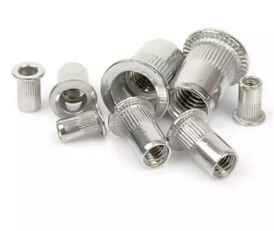 China Carbon Steel Factory Custom Most Popular aluminum Slotted blind  304 316 Stainless Steel Rivet Nut Threaded Rivet nut Insert Nut for sale