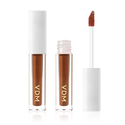 China Waterproof High Definition Pro Makeup Concealer Longwear Retouch Concealer Liquid Vegan for sale