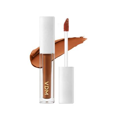 China Waterproof High Definition Pro Makeup Waterproof Concealer Longwear Retouch Concealer Liquid Vegan for sale