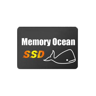 China 100% Original Ocean 3.0 Memory Chipsets OEM Disco Duro Solid State Disk Hd Hard Drive 1tb Disk 256 SSD 500 120 240 240 1tb for sale