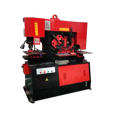 China Metal Sheet Punching Machine Q35Y-20 Muti-functional Hydraulic Punching And Shearing Locksmith for sale