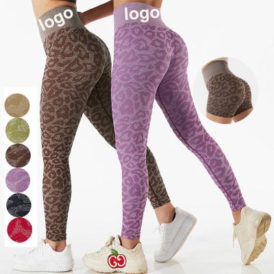 China 2022 OEM Breathable Leopard Print Hip Lift Up Training Running Seamless Workout Yoga Shorts Pants Women Sports Wear Leggings Fitness Gym Set for sale