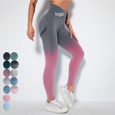 China Wholesale Seamless Women's Gradient Fitness Workout Fitness Equipment Activewear Sports Pants Waist Trainer Breathable Yoga Gaiters for sale