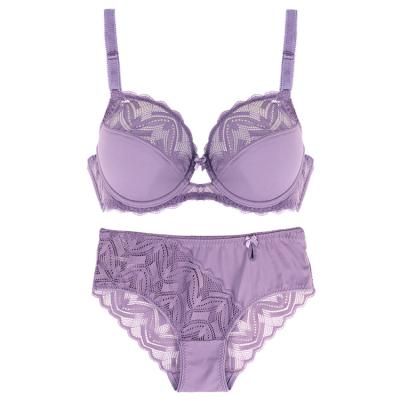 China Factory Direct Wholesale Women's Puls Breathable Waist Push Up Adjustable Bra And Sexy Lace Panties Lingerie Set for sale