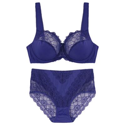 China 5-C006/P006 QUICK DRY women's sexy lace bra brief set blue lingerie lift up bra set plus size women underwear set 80E-100E and XL-XXXXLPanty for sale