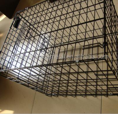 China Metal Wire Mesh Animal Dog Cages Eco - Friendly Sustainable Kennel for sale