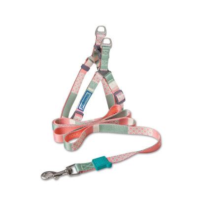 China Custom Logo Pattern Printed Color Polyester Factory Size Strong Dog Rope Leash Set Custom Made Two Piece Harness Long Collar Large Small for sale