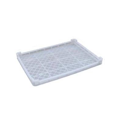 China Mesh 590*395*55MM plastic drying rack and drip tray fruit drying trays gummy drying trays for sale