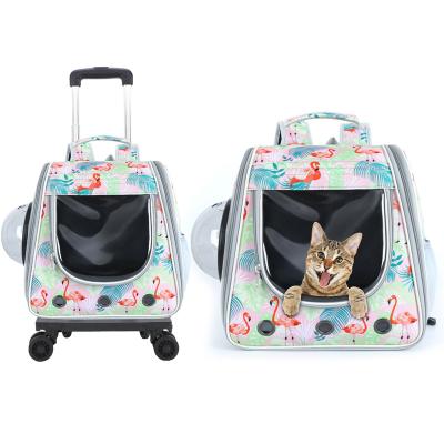 China Breathable Cat Bag Pet Backpack Outside Bag Portable Transparent Cat Bag Capsule Space Backpack Pet Breathable Carrier Bag for sale