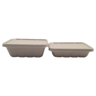 China Wholesale Biodegradable Shallow Square Disposable Tableware Clamshell Food Container Cutlery Set for sale