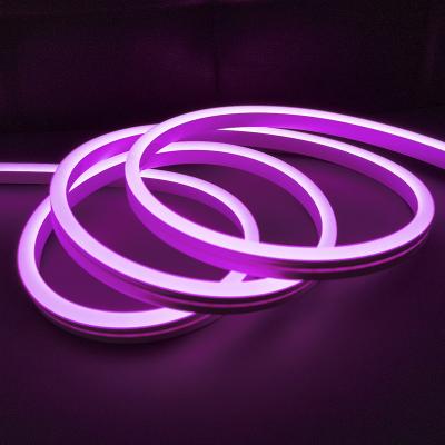 China Christmas 12V high quality IP68 waterproof led 2835 RGB 5050 flexible silicone led neon rope for neon signs wholesale for sale