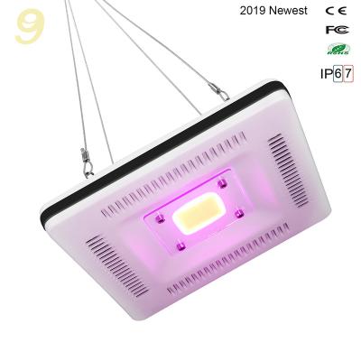 China 2019 Hot New Product Growing Fruit Vegetable Greenhouse Flower Lights On Amazon 50W Led Grow Light Full Spectrum Cob for sale