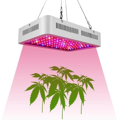 China Vegetable Greenhouse & 600w Aquarium Green House Led Plant Grow Light Full Spectrum For Vegetables Hydroponic Light Te koop