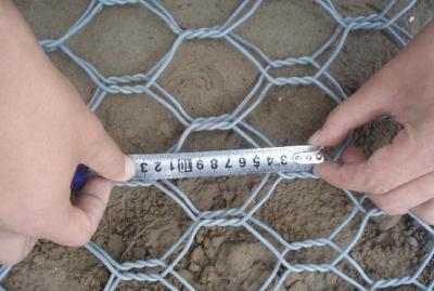 China 80mmx100mm hot dipped galvanized gabion box gabion mattress/gabion for sale