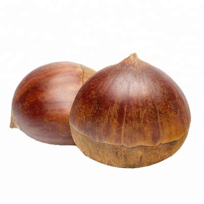 China Supplier fresh fresh chestnut/chinese chestnut for sale 30-40 PCS/KG/chicken chestnut for sale