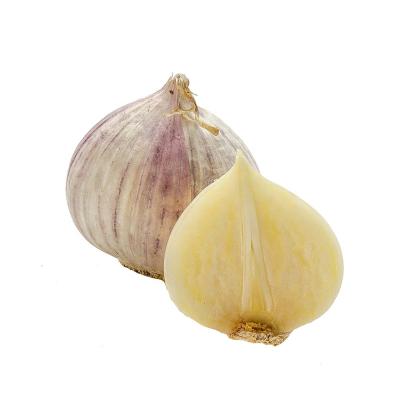 China Small 3cm China Round Fresh Solo Garlic Clove for sale