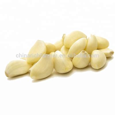 China China Fresh White Fresh Garlic Price 1KG Peeled Vacuum Bag for sale