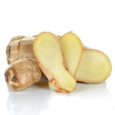 China 200g 5kg Fresh Carton Packed Organic Dried Yellow Ginger Root For Sale for sale