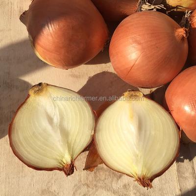 China 2021 fresh yellow onion fresh hot sales red onion for sale