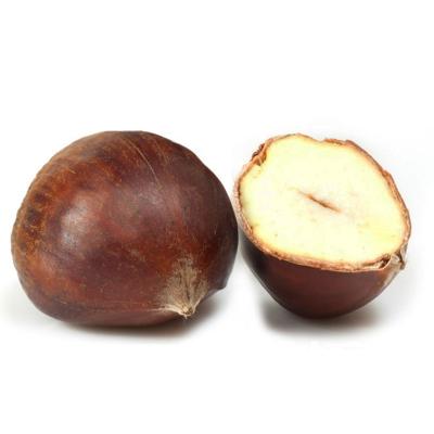 China Chinese Wholesale Hot Selling Fresh Sweet Chestnut For Middle East for sale