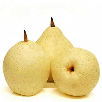 China fresh chinese common fresh sweet price of pears for sale