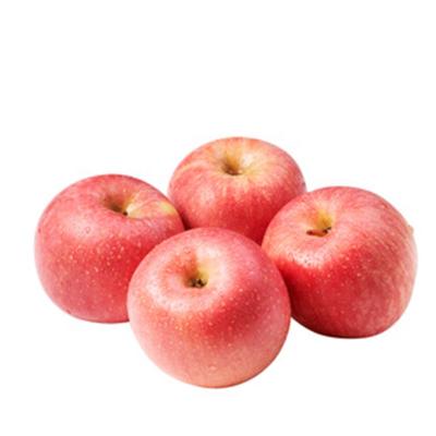 China Fresh Fresh China Blush Red Fuji Apples Fruit Export To Indian Market for sale