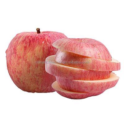 China China Wholesale Price Fresh Fresh Fuji Apple Fruit Exporter 20Kg/Carton for sale