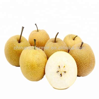 China Fresh Chinese Fresh Fruit Sweet Ya Pear for sale