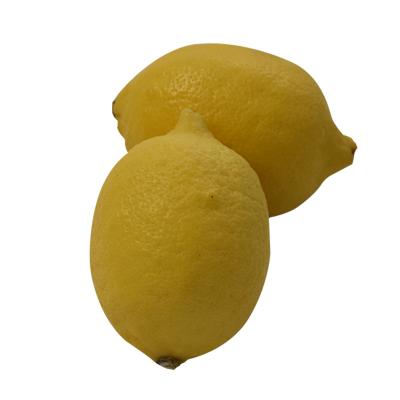 China High Wholesale Price Nutritious Citrus Fresh High Quality Fresh Lemon For Sale for sale