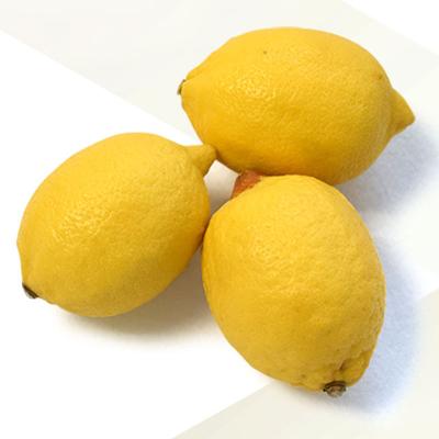 China China High Nutritious Hot Sale Cheap Price Fresh Lemons for sale