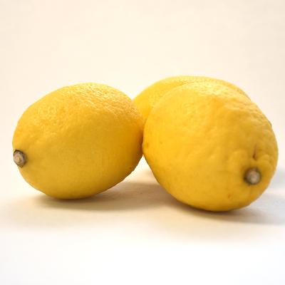 China Fresh lemon top quality nutritious fresh lemon suppliers for import for sale